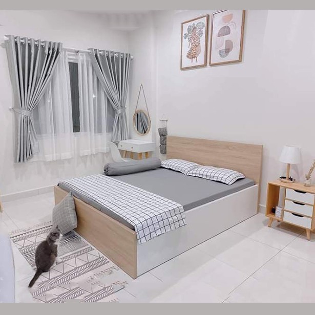 Giường ngủ gỗ công nghiệp giá rẻ nhất 1,6x2m, 1,2x2m giường ngủ hiện đại với màu sắc đa dạng