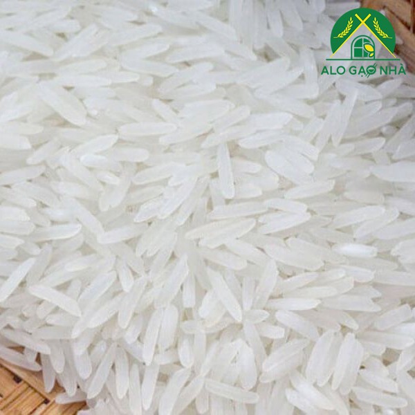 Combo 5kg Gạo St25 chính hãng Giao Hàng Nhanh 24/7 Hoả Tốc