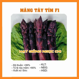 Hạt Giống Măng Tây Tím - 10 Hạt