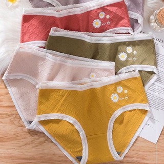 Quần Lót Nữ Cotton Hoa Cúc Kháng Khuẩn Viền Ren Sexy Thông Hơi Chất Lượng Cao