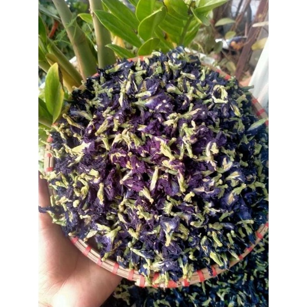 Hoa đậu biếc nhà trồng 100gr