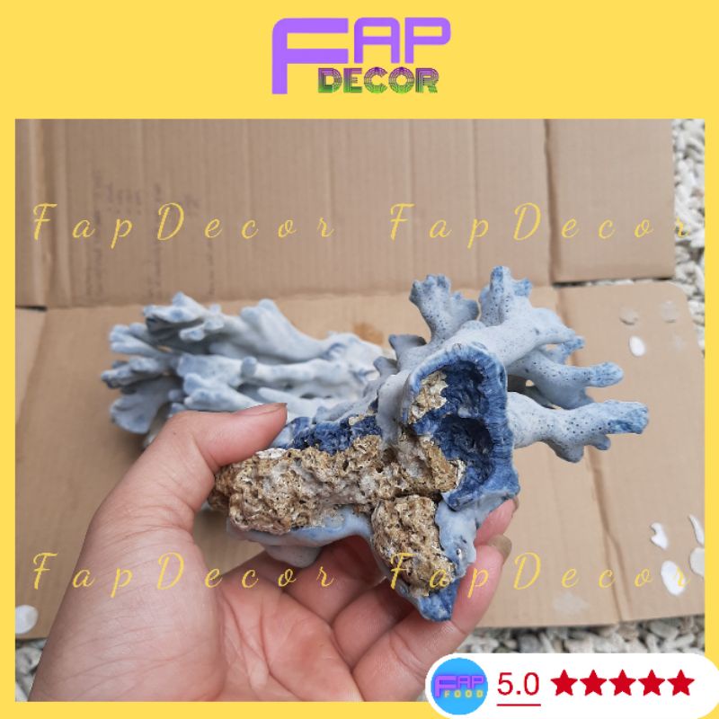 Bông Rạn Xanh Cao Cấp Hàng Hiếm Nhúng Nước Sẽ Lên Màu Siêu Đẹp Trang Trí Bể Cá, Thủy Sinh - FapFood