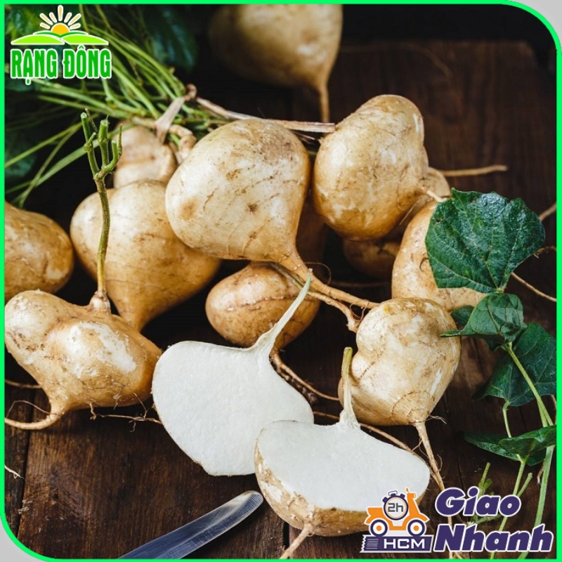Hạt giống Củ Sắn (Củ Đậu) trồng quanh năm, dễ chăm sóc, củ to (gói 10 gr) - Hạt giống Rạng Đông