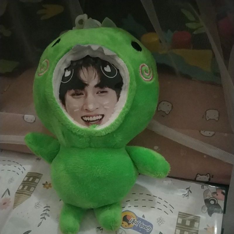 gấu bông nhét ảnh brightwin mewgulf taynew offgun bkpp,có in theo yêu cầu