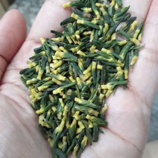 Tim sen đồng tháp