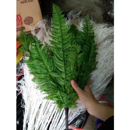 Cụm Dương Sỉ Cao Su 11Lá Cao 60Cm