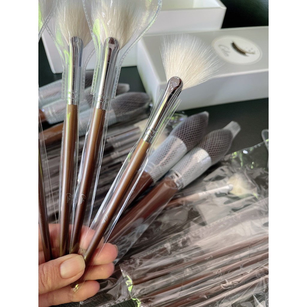 Cọ lẻ Celin_Cọ quạt nhỏ