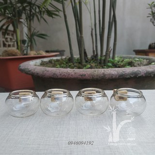 Cóng chòe đất, yến