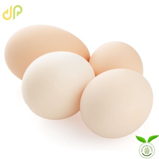 Trứng gà ác vĩ 10 trứng