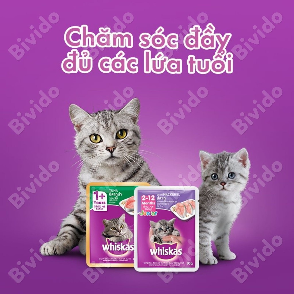 Pate Whiskas mèo lớn mèo con đủ vị túi 85g - Bivido