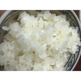 Gạo Nếp bắc