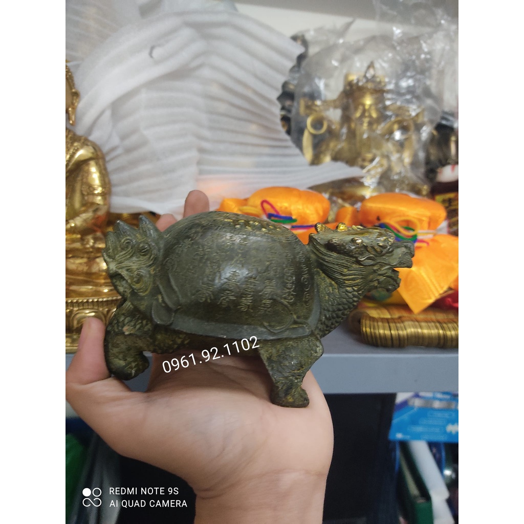 Rùa Bằng Đồng XANH Cổ