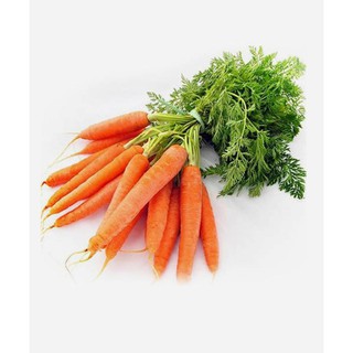 gói 5 gram hạt giống cà rốt đỏ