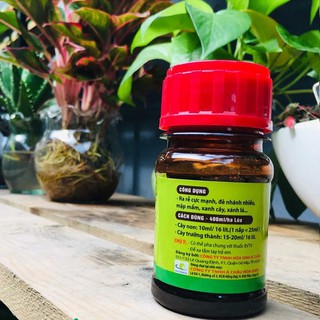 Kích rễ ra hoa AC Roots 10SL 100ml