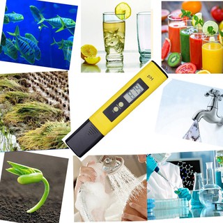 Bút đo độ pH, máy đo pH, dụng cụ đo pH của nước PH-02