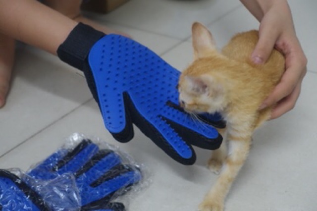 Găng tay chải lông rụng chó mèo thay thế lược chải lông siêu tiện lợi