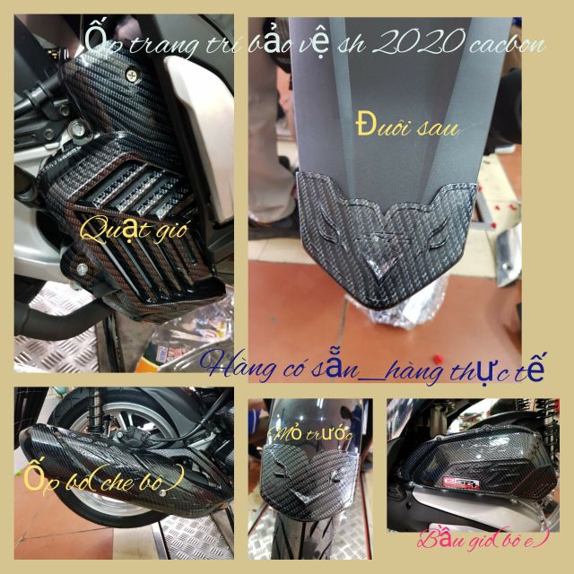 trang trí bảo vệ sh 2022-2020 cacbon chính hãng