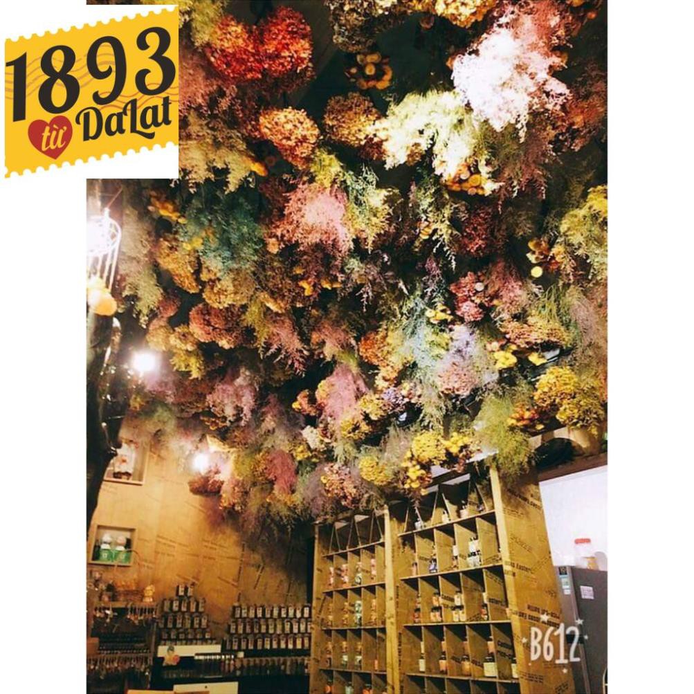 TRÀ NGỦ NGON GOODNIGHT HŨ NHỎ ( Thư giãn - Ngủ Ngon ) | BigBuy360 - bigbuy360.vn