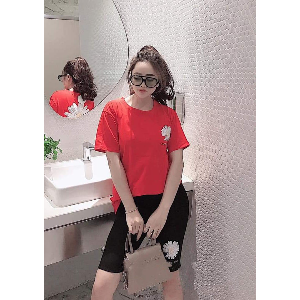 Đồ Bộ Mặc Nhà Cao Cấp, Chất Cotton 100%, 45kg đến 80kg vừa, Hoa Cúc | BigBuy360 - bigbuy360.vn