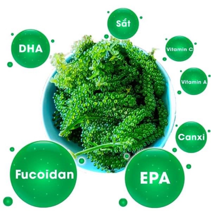 Rong Nho Trường thọ cao cấp Xuất khẩu( Hộp 400gr 20 gói + tặng 20 gói sốt mè rang) | BigBuy360 - bigbuy360.vn