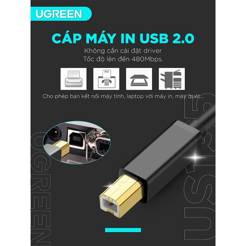 Cáp USB 2.0 máy in đầu cáp mạ vàng chính hãng 1,5m, 2m,  3m, 5m - CHÍNH HÃNG