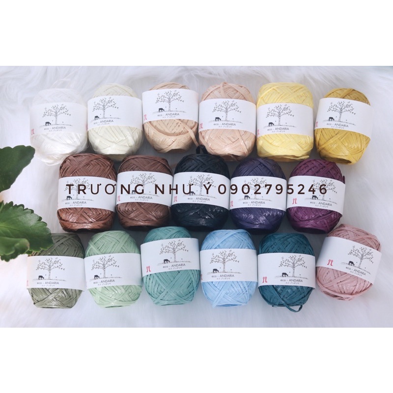 Set cọ túi tiểu thư