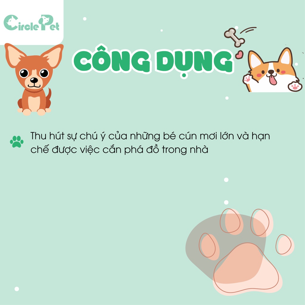 Dồ Chơi Pian Pian Cao Cấp Chính Hãng Hỗ Trợ Cho Phát Triển Trí Khôn - Circle Pet