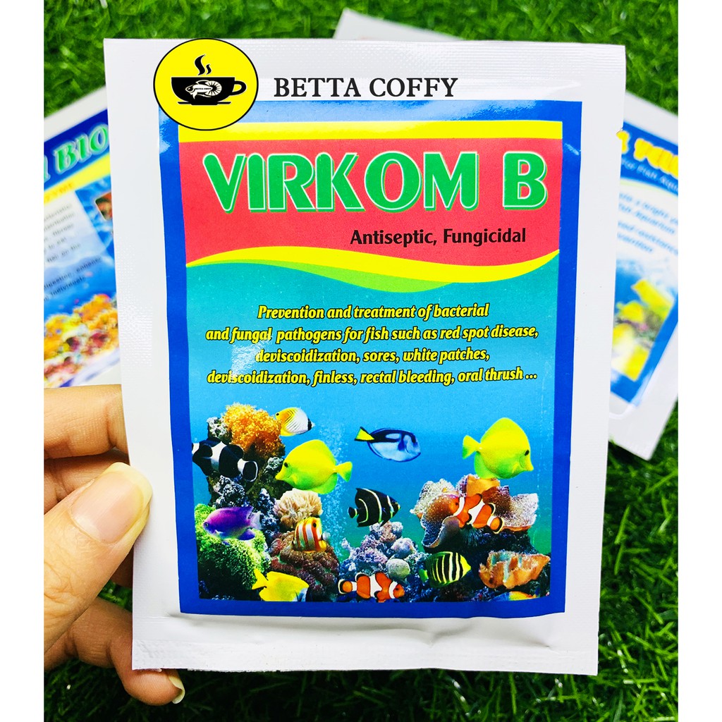 Virkom B - Nuôi Cá Nên Biết - BETTA COFFY ☕️