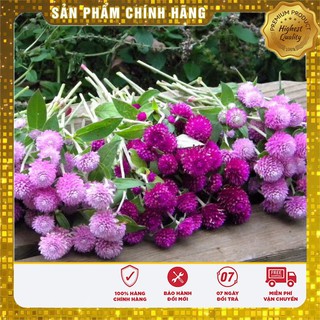 Bộ gói hạt giống Cúc bách nhật