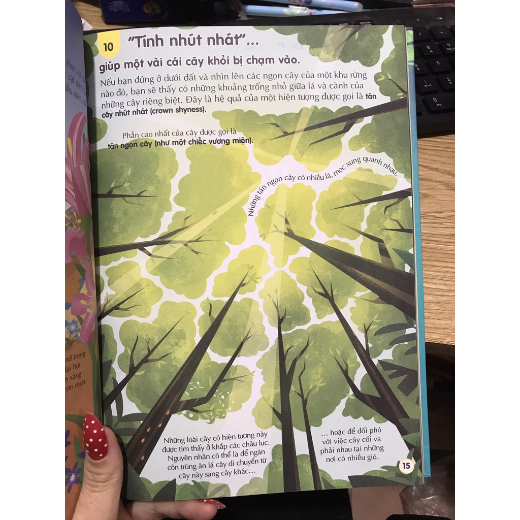 Sách - 100 bí ẩn đáng kinh ngạc về Trái Đất tái bản ( Đinh Tị )