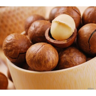 Hạt macca Lâm Đồng giá sỉ