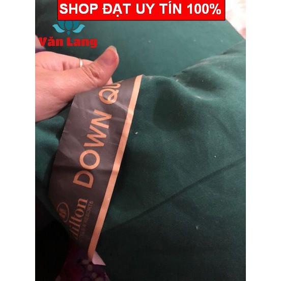 2 Ruột Gối Đầu Hilton Cao Cấp - Tiêu Chuẩn 5* đủ 1,3kg, Lõi Gối Hilton Chuyên dùng cho khách sạn