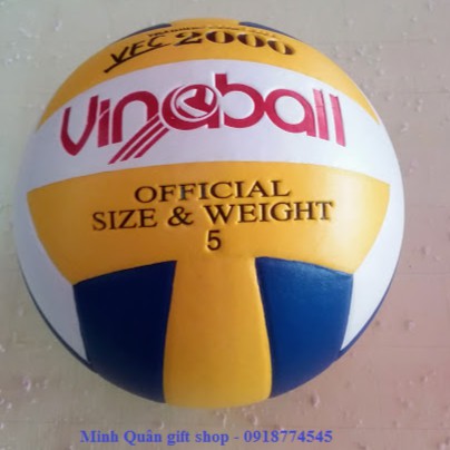 Bóng chuyền Vinaball VFC2000 số 5