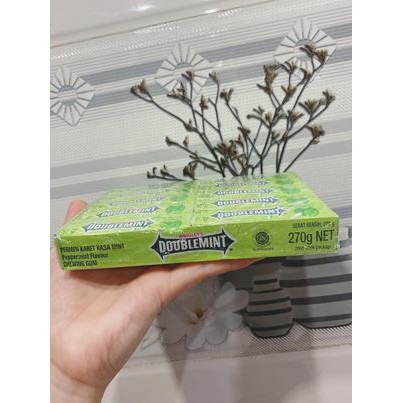 Thanh kẹo sing gum doublemint