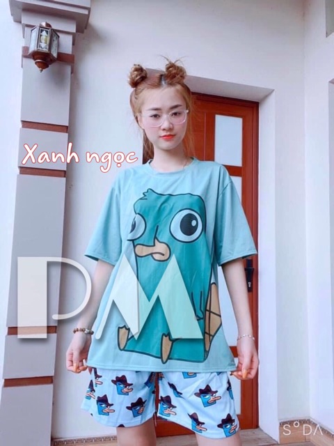 Sét áo quần hình chim xanh PM12