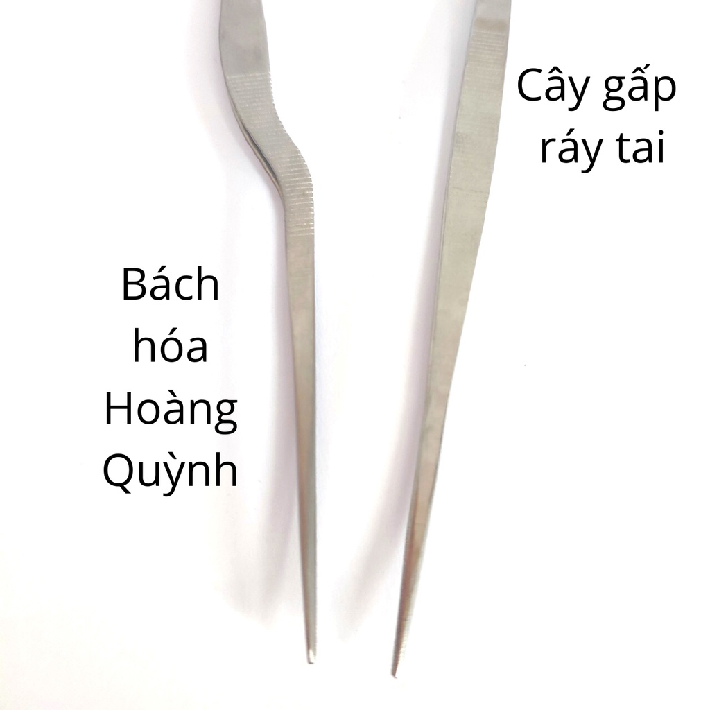 Cây nhíp gấp ráy tai Thanh Sơn.
