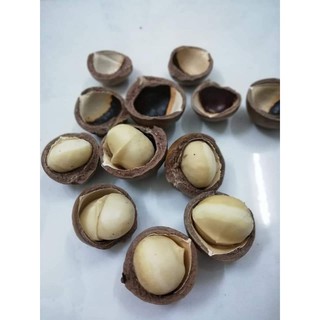 1kg hạt macca sấy giòn loại 1