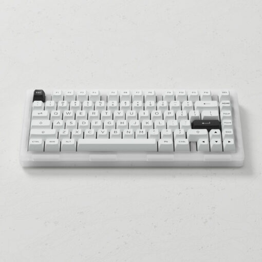 Bàn phím AKKO ACR Pro 75 (RGB / Hotswap / AKKO CS Crystal / Gasket Mount