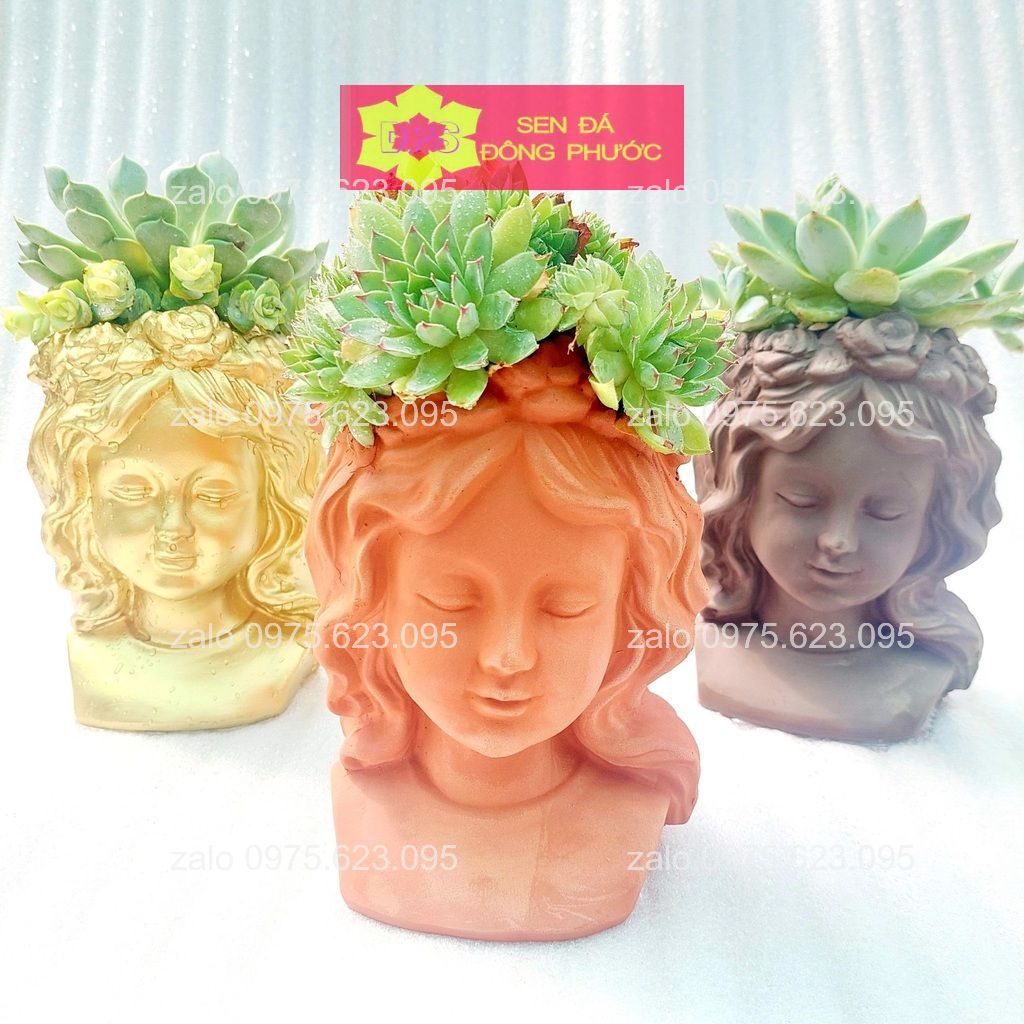 Chậu đất nung hình thú nâu đỏ - chậu trồng sen đá xương rồng, cây văn phòng- sen đá đông phước