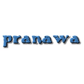 pranawastorel0.vn
