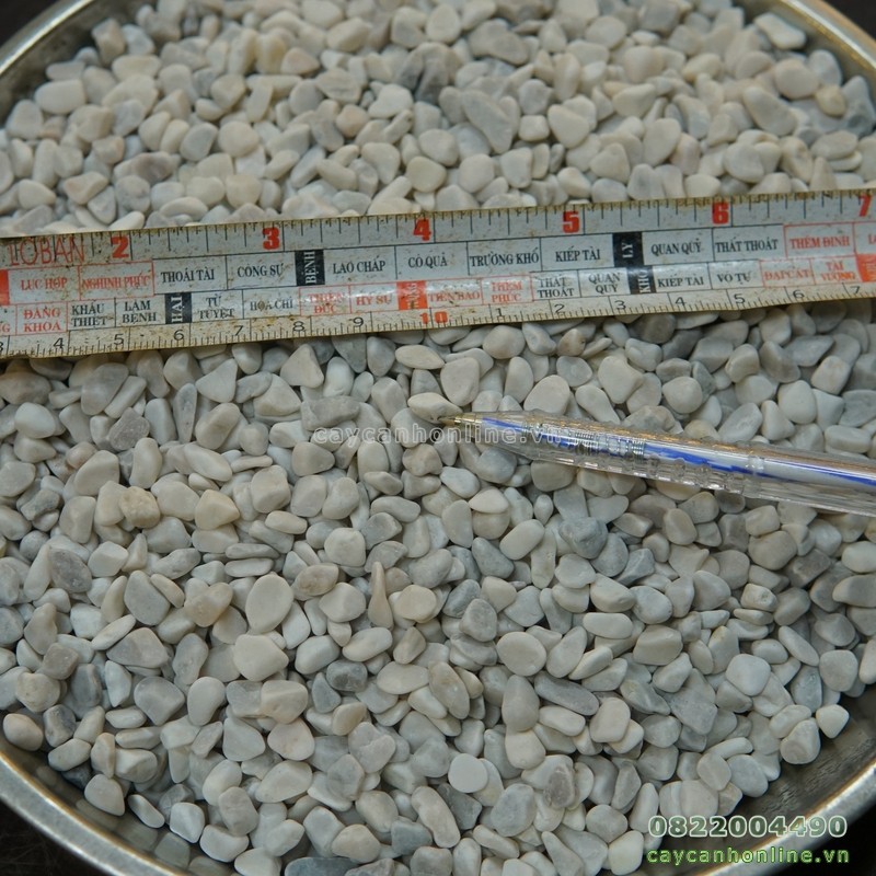 1kg sỏi trang trí tiểu cảnh trải mặt chậu cây cảnh để bàn