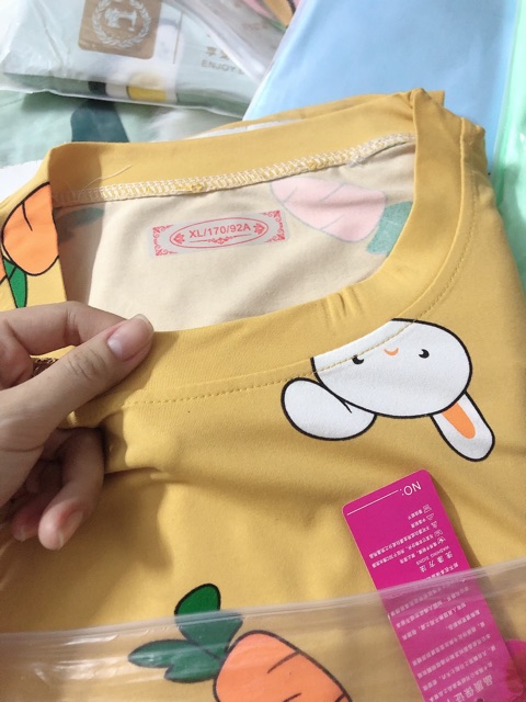 Bộ cotton mặc nhà kèm túi rút (chất đẹp)