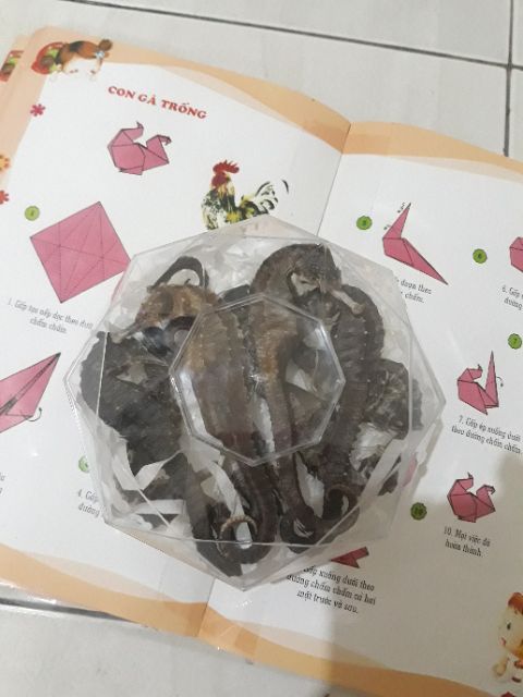 1 cặp cá ngựa khô size 11-12cm | BigBuy360 - bigbuy360.vn