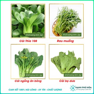 Bộ 4 Gói Hạt Giống Rau Muống 20gr- Cải Ngồng 2gr - Cải Bẹ Dún 2gr - Cải Thìa 2gr Ca Na An Tỉ Lệ Nảy Mầm Cao