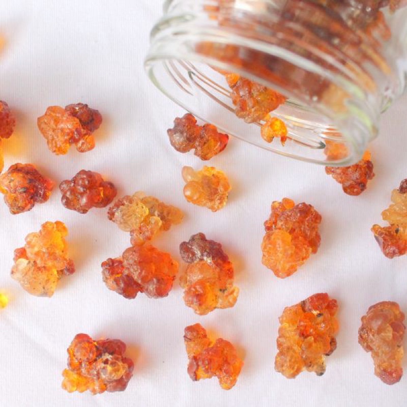 Nhựa đào [nguyên liệu làm chè dưỡng nhan] - 100G - 500g