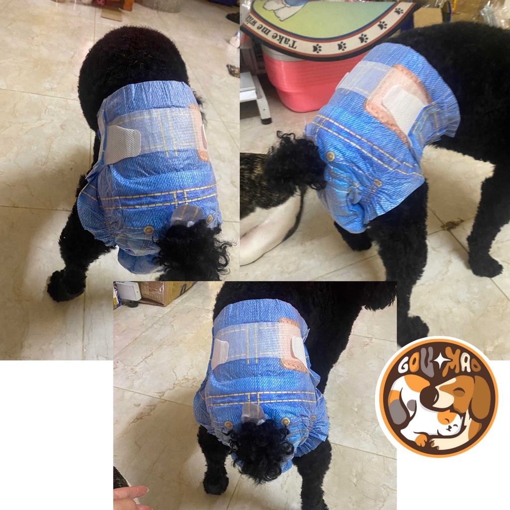 Tã Bỉm, tã quần giả Jean cho chó cái thưởng hiệu Pet Soft - Goumao pet