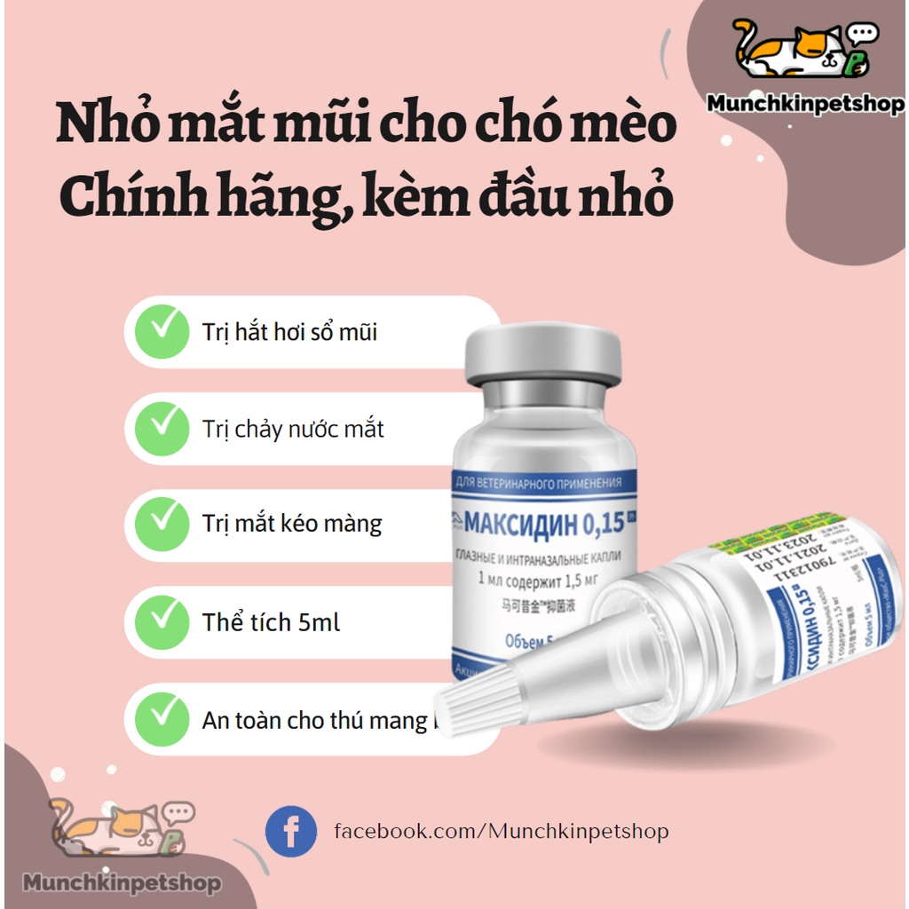 Nhỏ mắt mũi cho mèo Maxidine 0.15 nhập Nga, nhỏ mắt mũi mèo Herpes, viêm giác mạc, sổ mũi, chảy nước mắt