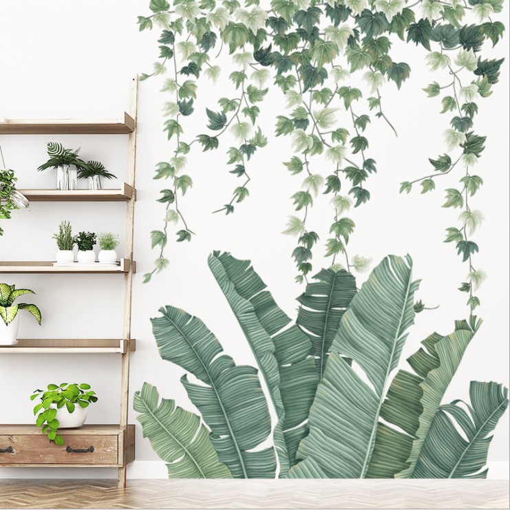 Decal dán tường trang trí - CÂY CHUỐI LÁ PHONG XANH