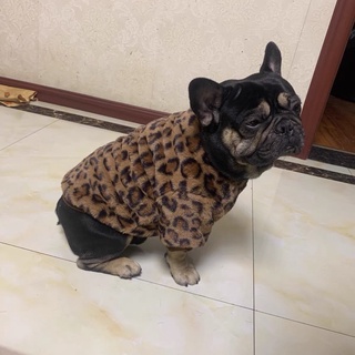 Áo lông mịn cho chó