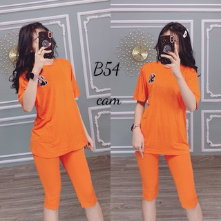Đồ bộ mặc nhà lửng quần qua gối B54